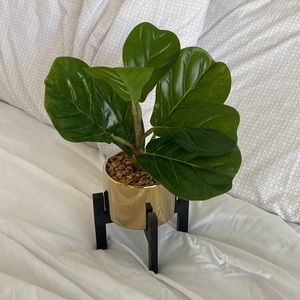 Artificial plant — gold pot